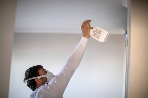 Best Home Mold Removal  in Norman Park, GA