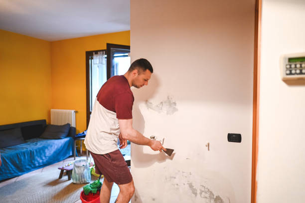 Office Mold Removal Services in Norman Park, GA